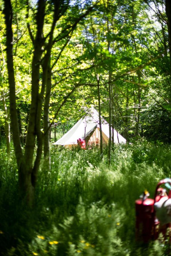 Dgg Woodland Escape Hotel South Barrow Buitenkant foto