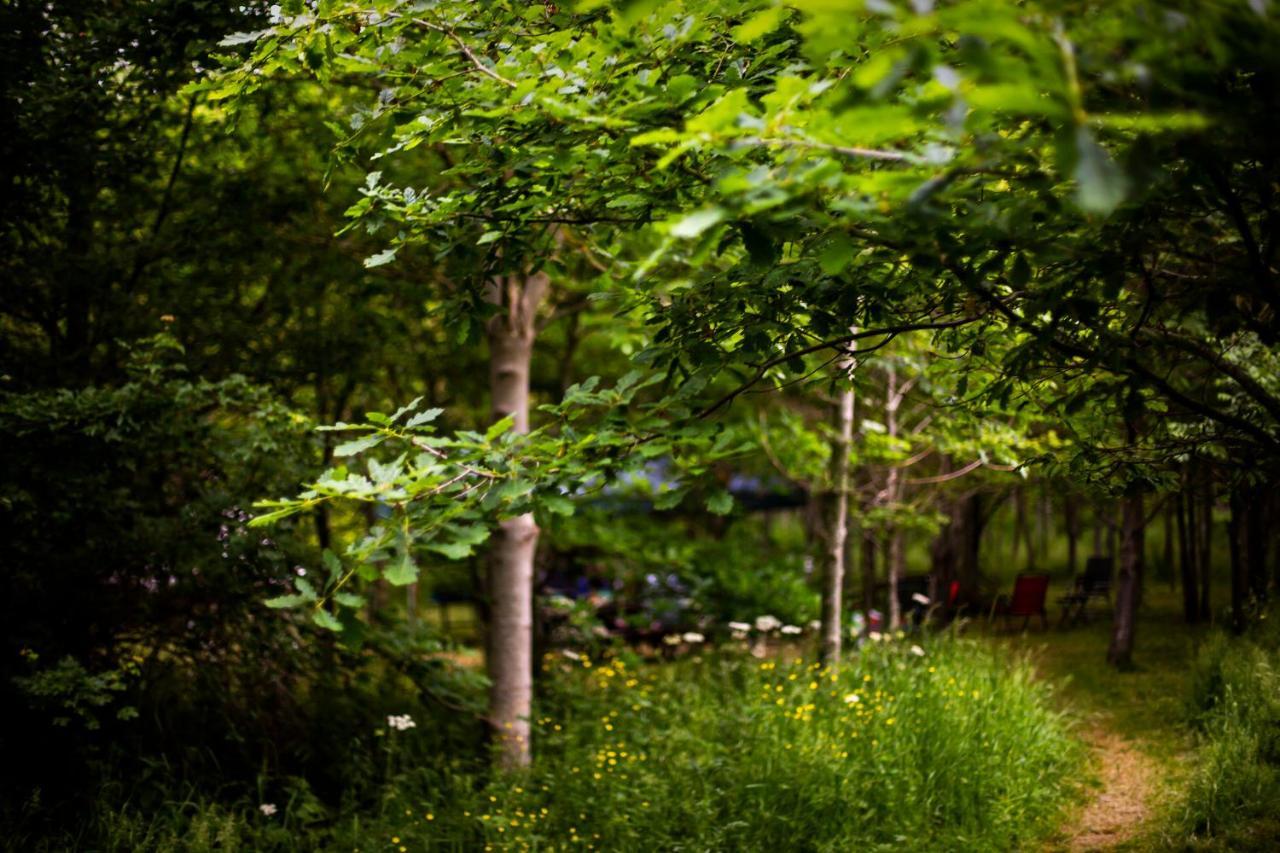 Dgg Woodland Escape Hotel South Barrow Buitenkant foto