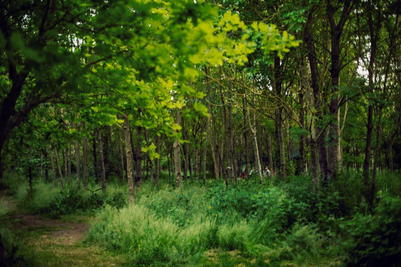 Dgg Woodland Escape Hotel South Barrow Buitenkant foto