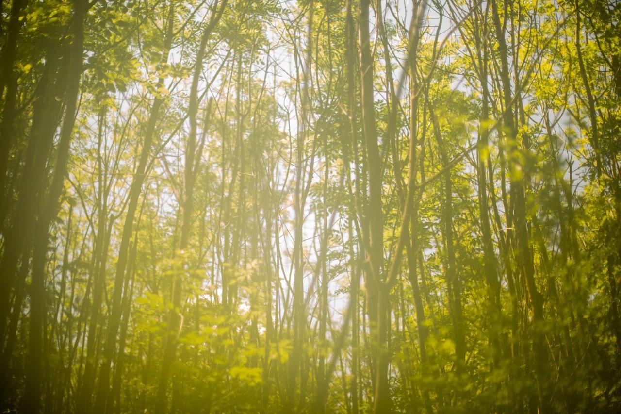 Dgg Woodland Escape Hotel South Barrow Buitenkant foto