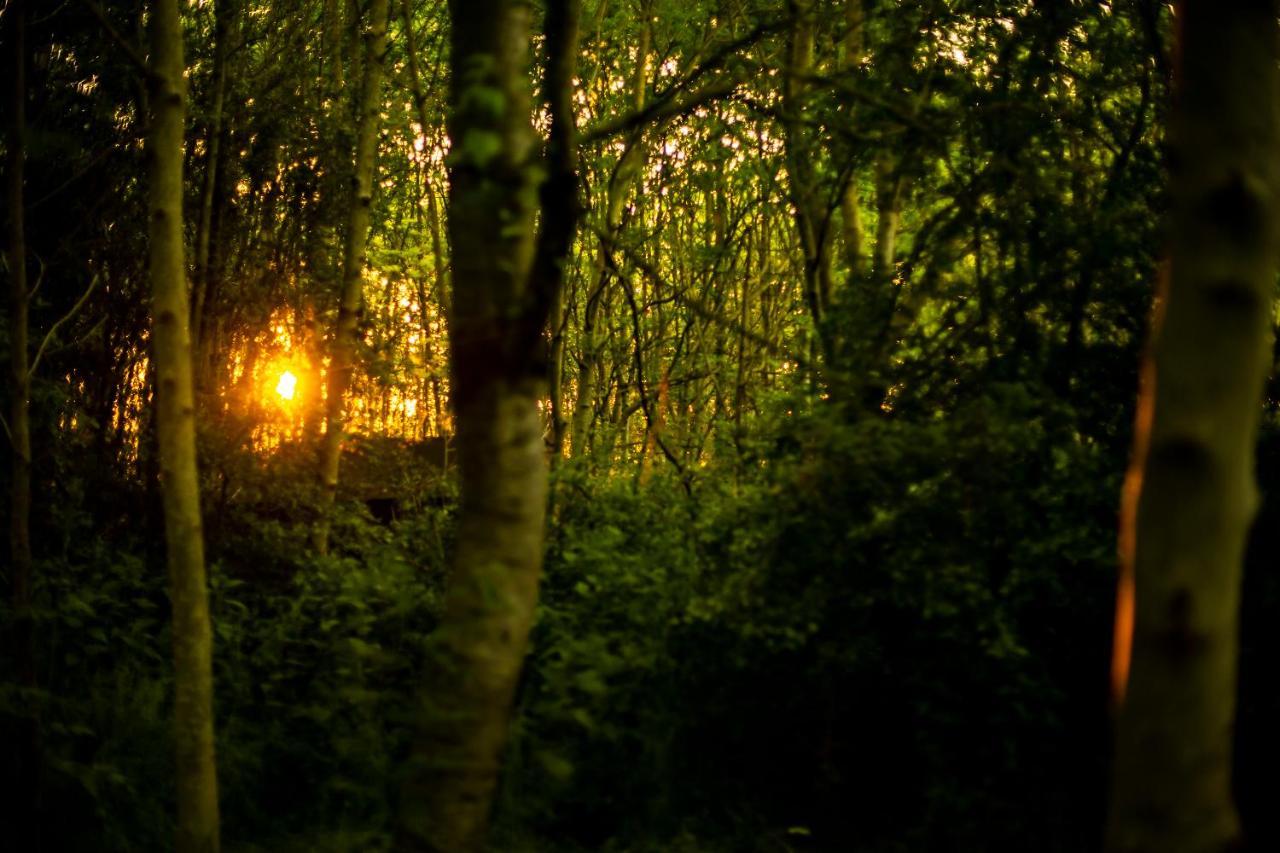 Dgg Woodland Escape Hotel South Barrow Buitenkant foto