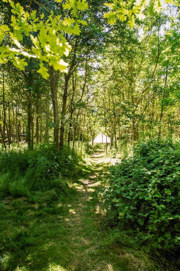 Dgg Woodland Escape Hotel South Barrow Buitenkant foto