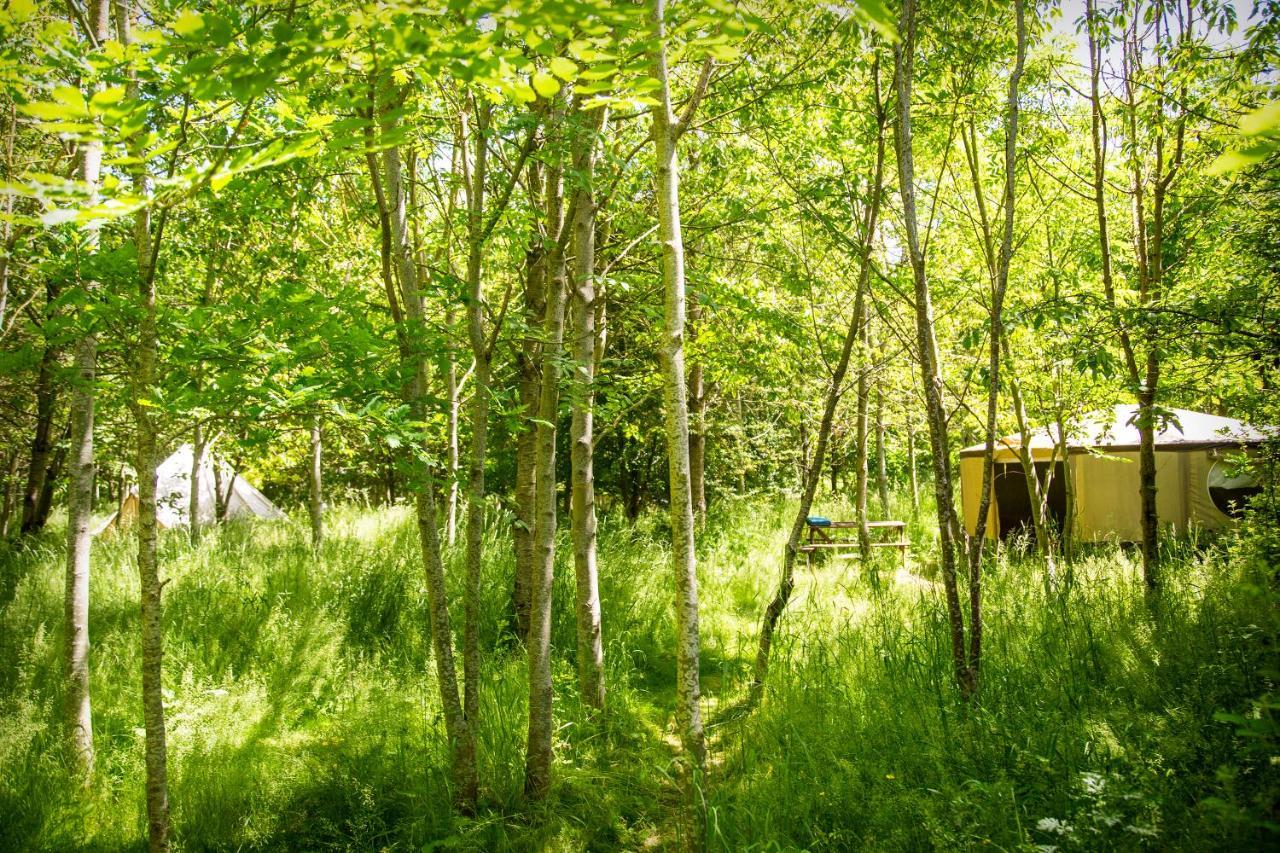 Dgg Woodland Escape Hotel South Barrow Buitenkant foto