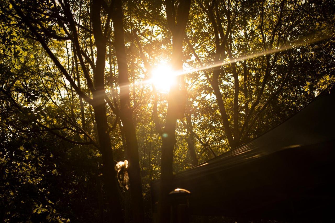 Dgg Woodland Escape Hotel South Barrow Buitenkant foto